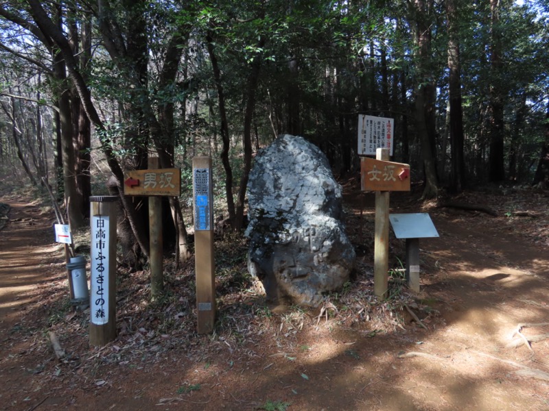 日和田山、物見山